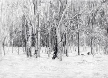 ������ ����. ����� ����