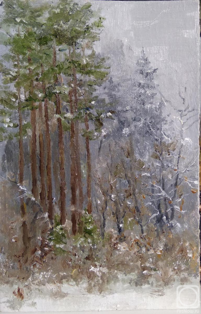 �������. ������� ������. �������� ������ ����