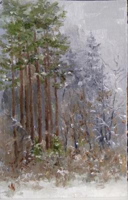 ������� ��������� ������ ����