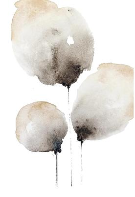 ��� �������� (����������). ����������� �������