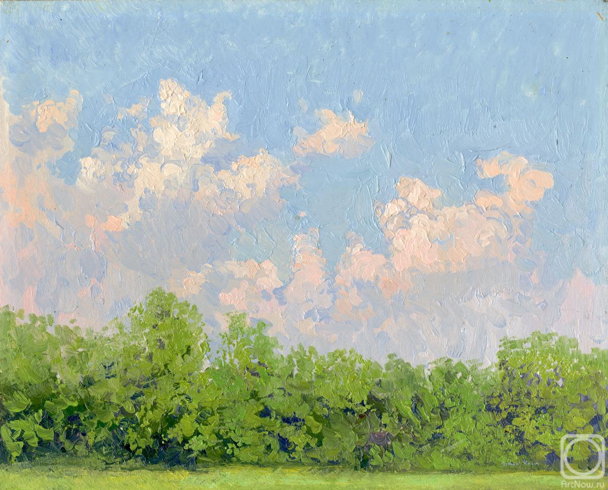 Kozhin Simon. Clouds. Botanical Garden