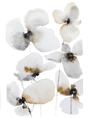 Abstract Floral Watercolor Gray Black Brown Minimalist. Solovyanova Tatyana