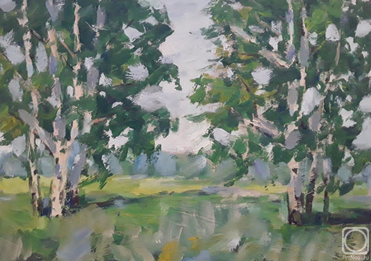 Knecht Aleksander. Green noise of birches