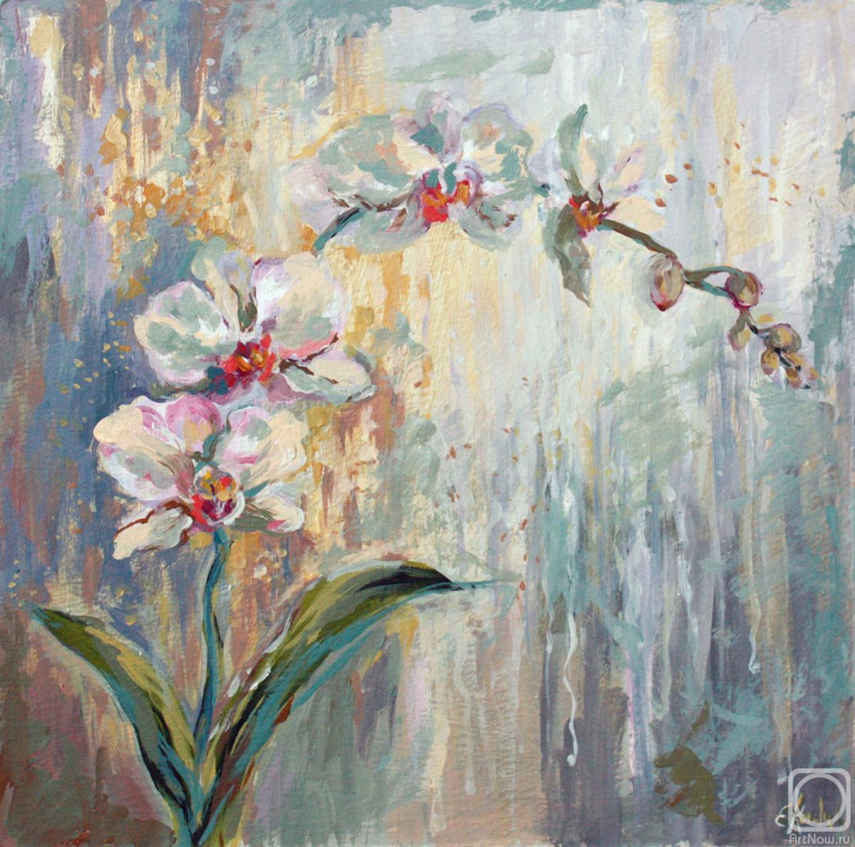 �������. �������� �����. �������