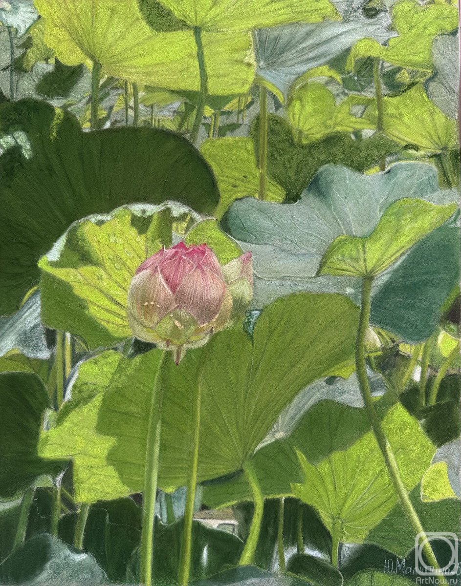 �������. �������� ����. �������� ������