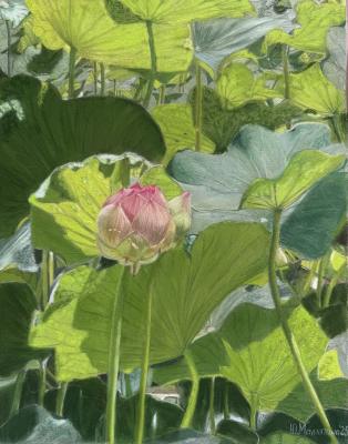 �������� ������ (���������������). �������� ����