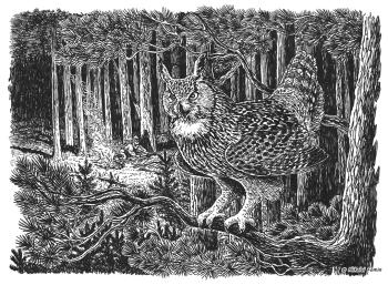 The Eagle Owl's Cry