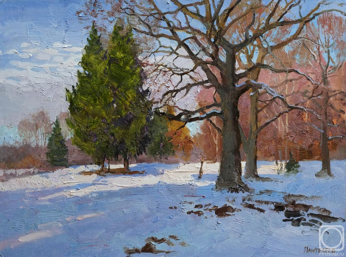 �������. ��������� ������. ������. ������ ����