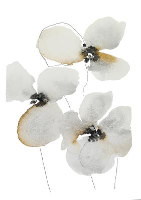 ��� ������� ������. ����������� �������