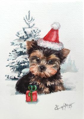 ������� �����. ����� ���