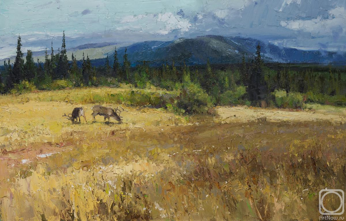 Burtsev Evgeny. Under the sky of Urals