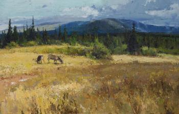 Under the sky of Urals (Yuzhdva). Burtsev Evgeny