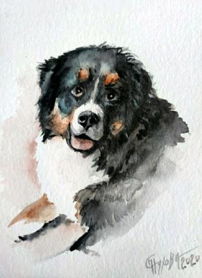 ������� �������� ������ �� �����