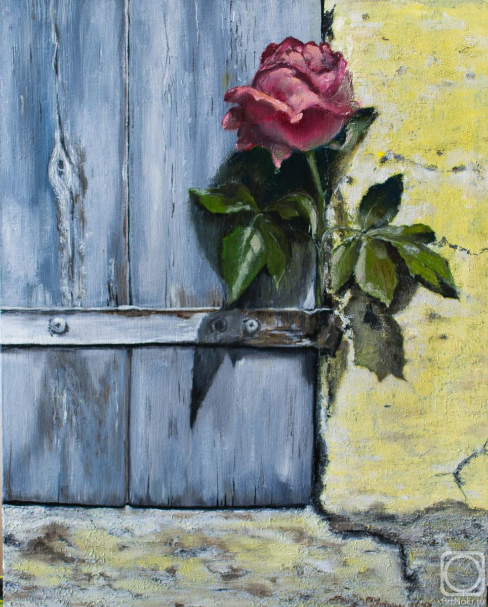 ������� ������ �� ������. �������� ������. ������ ���������