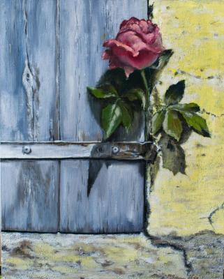 ������ ���������