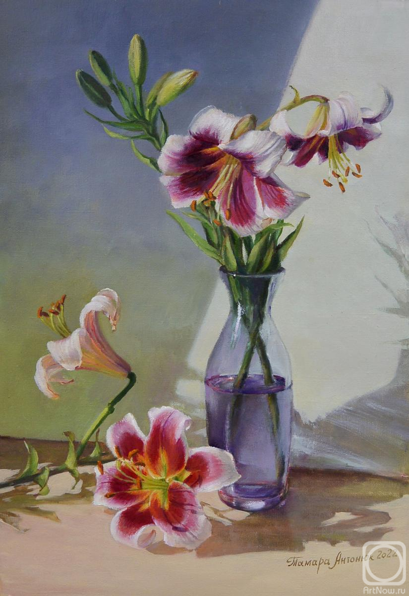 ������� ������ �� ������. ������� ������. �����