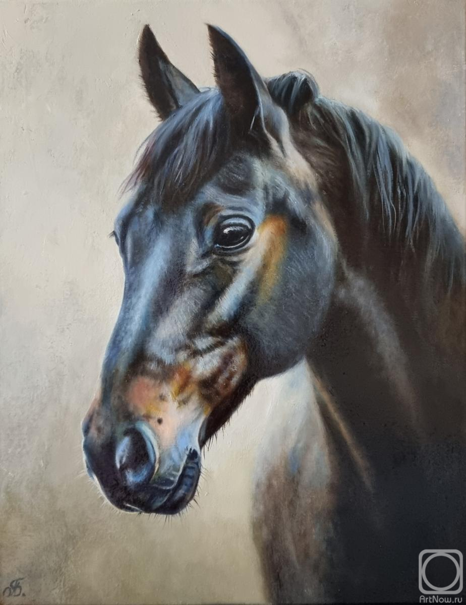 ������� ������ �� ������. ��������� ����. ������ ����