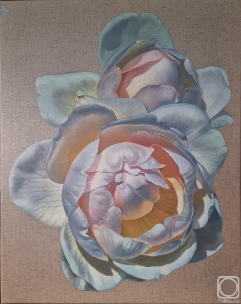 ������� ������ �� ������. ��������� ����. � �������� ������