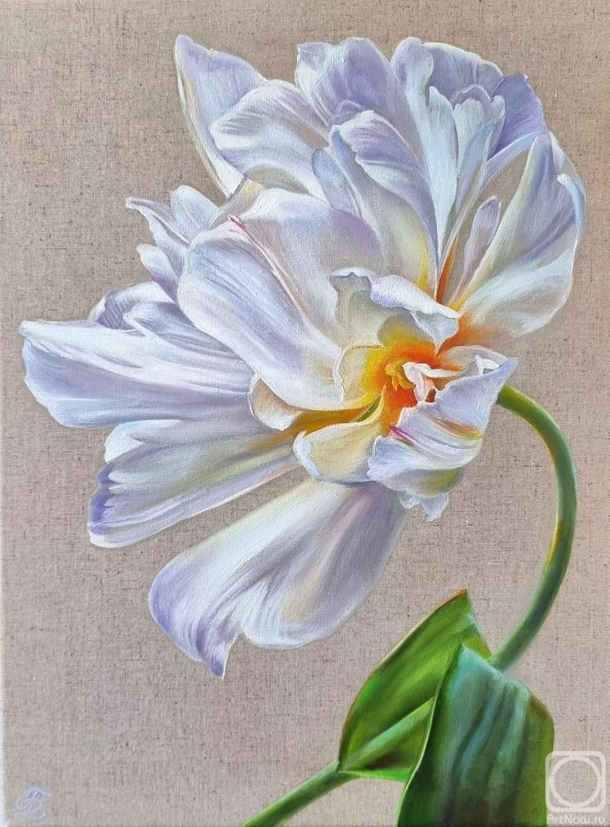 ������� ������ �� ������. ��������� ����. ����� �������