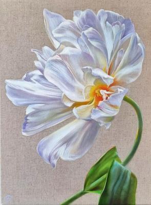 ����� �������. ��������� ����