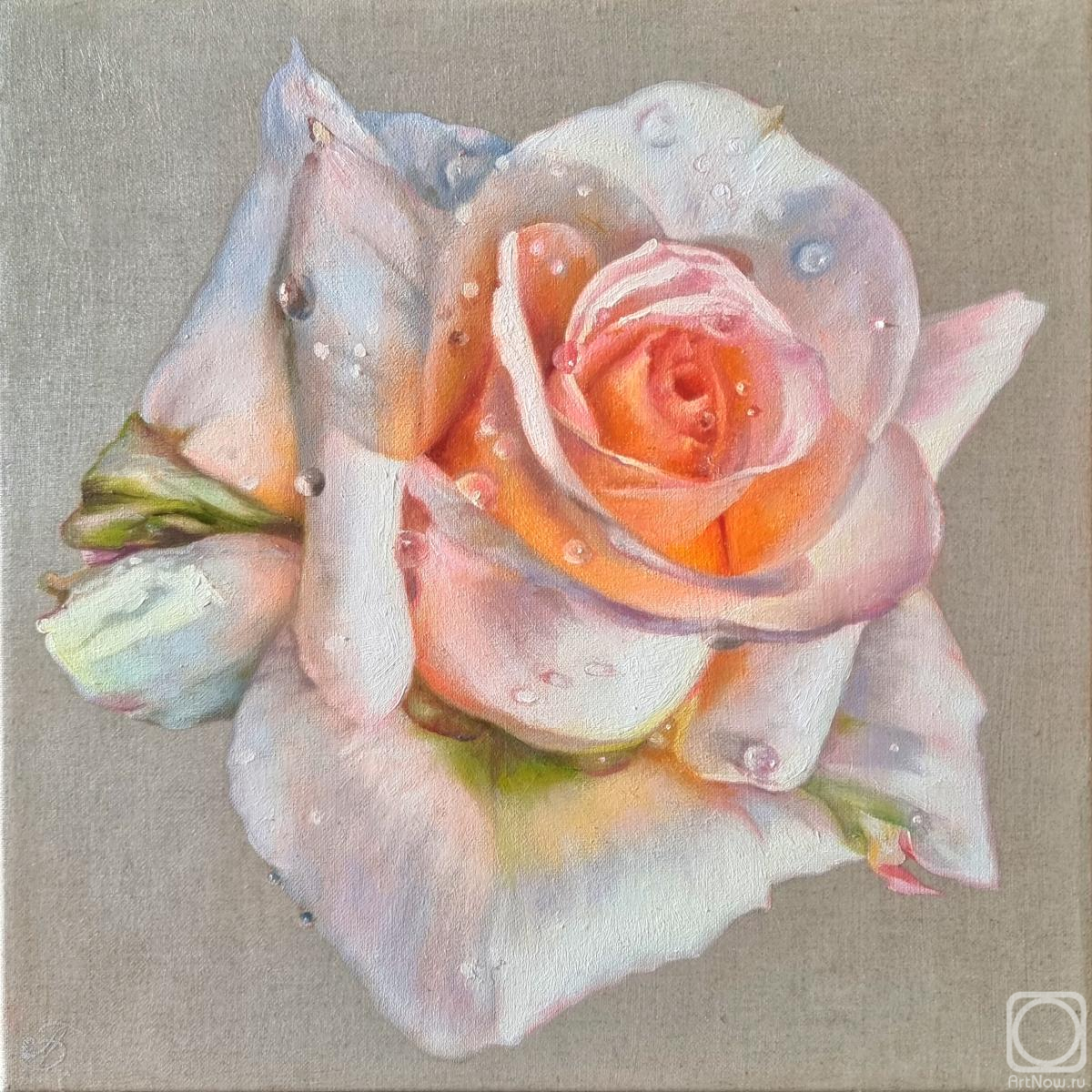 ������� ������ �� ������. ��������� ����. True