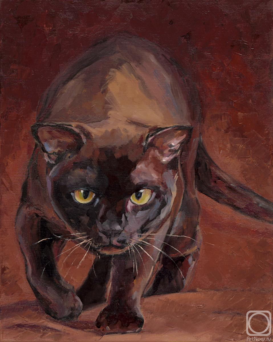 ������� ������ �� ������. �������� �������. �� �����