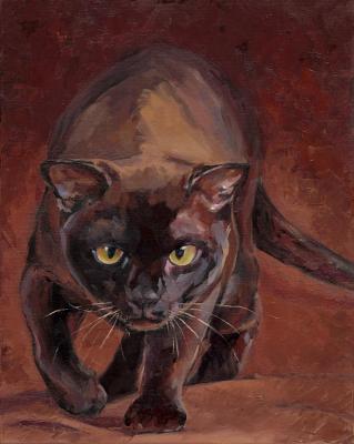 ������� ��� �����