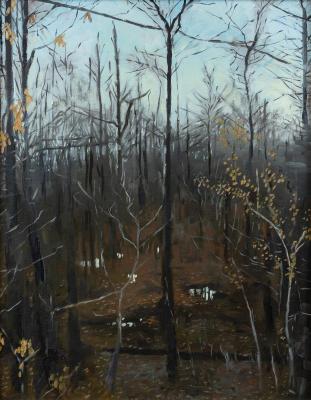 �����. ���������� �����