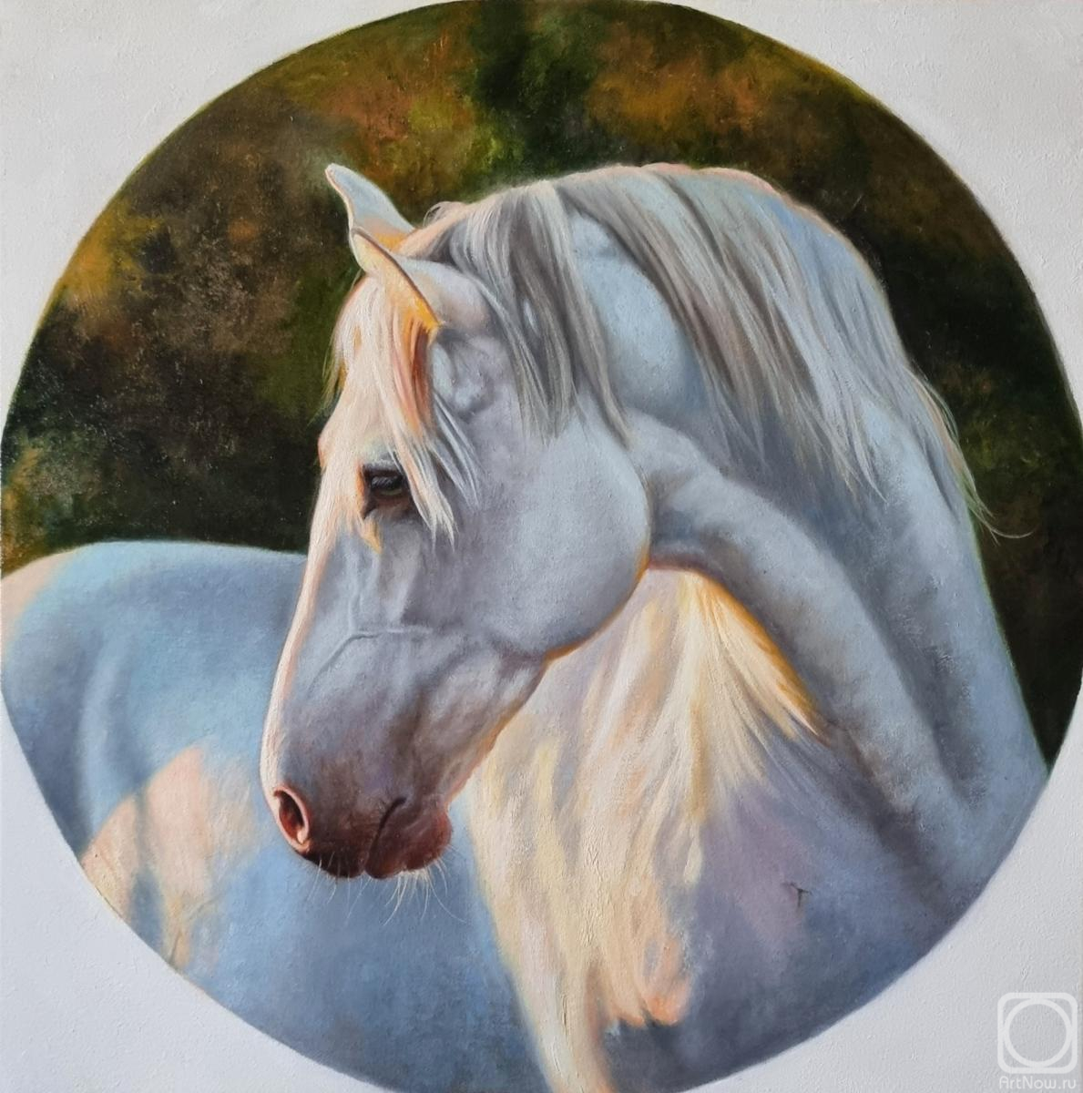 ������� ������ �� ������. ��������� ����. ������