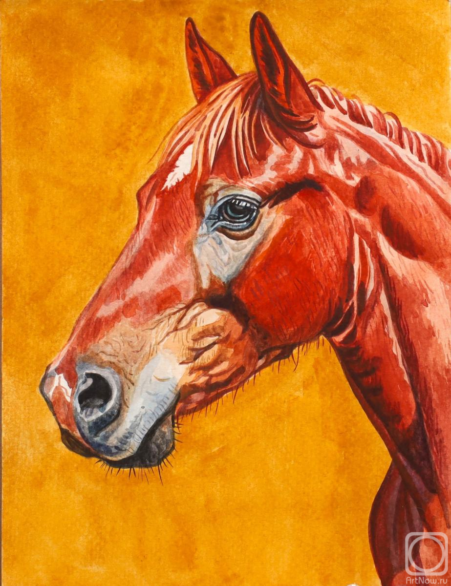 �������. ��������� �������. ������