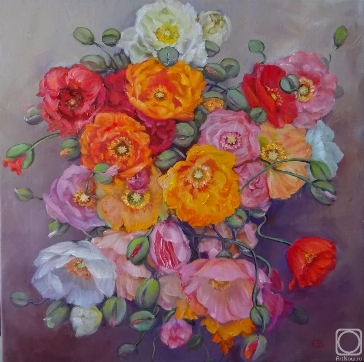 ������� ������ �� ������. �������� ��������. ��������� ����