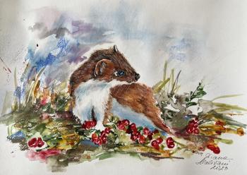 ������� �� �������� ��������