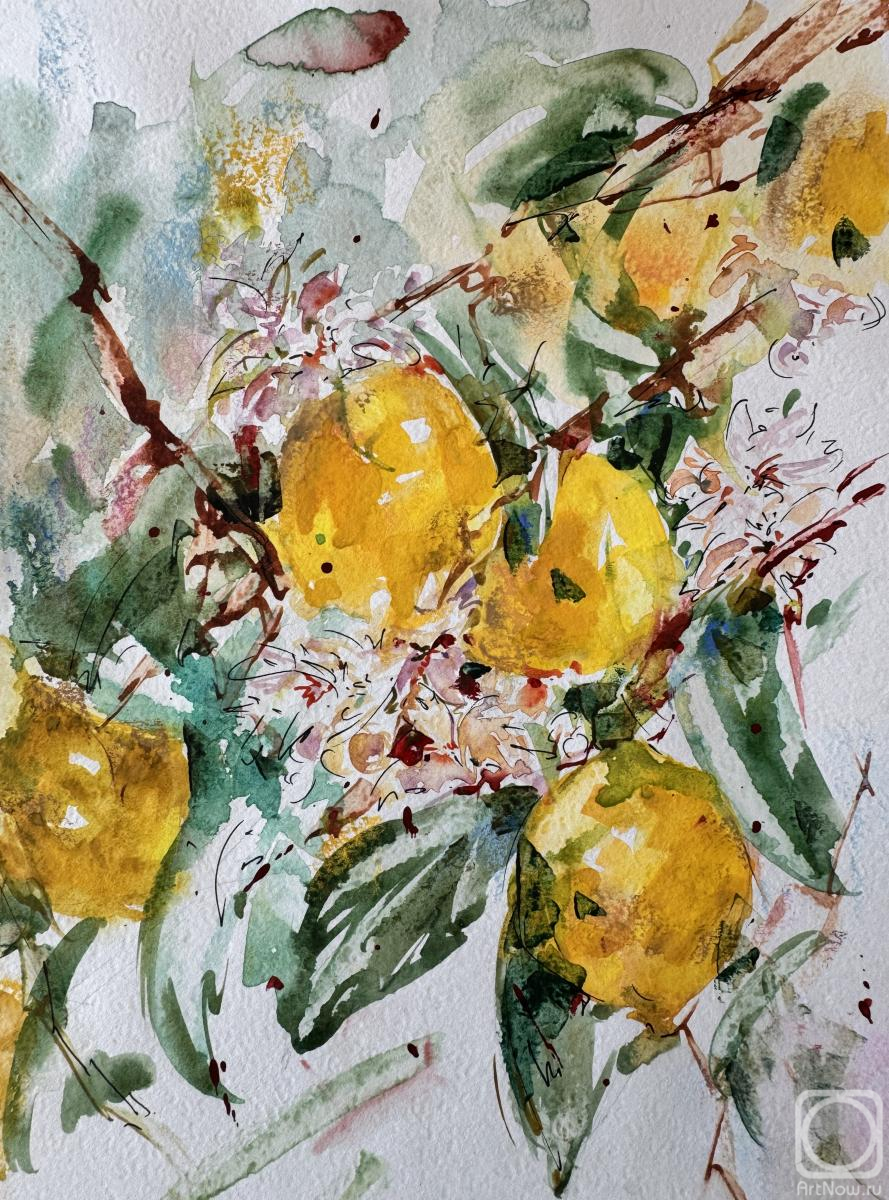 �������. �������� �����. �������� ������