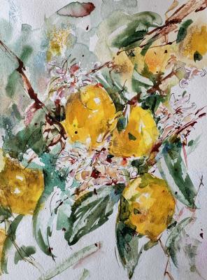 �������� ������ (������ ��������). �������� �����