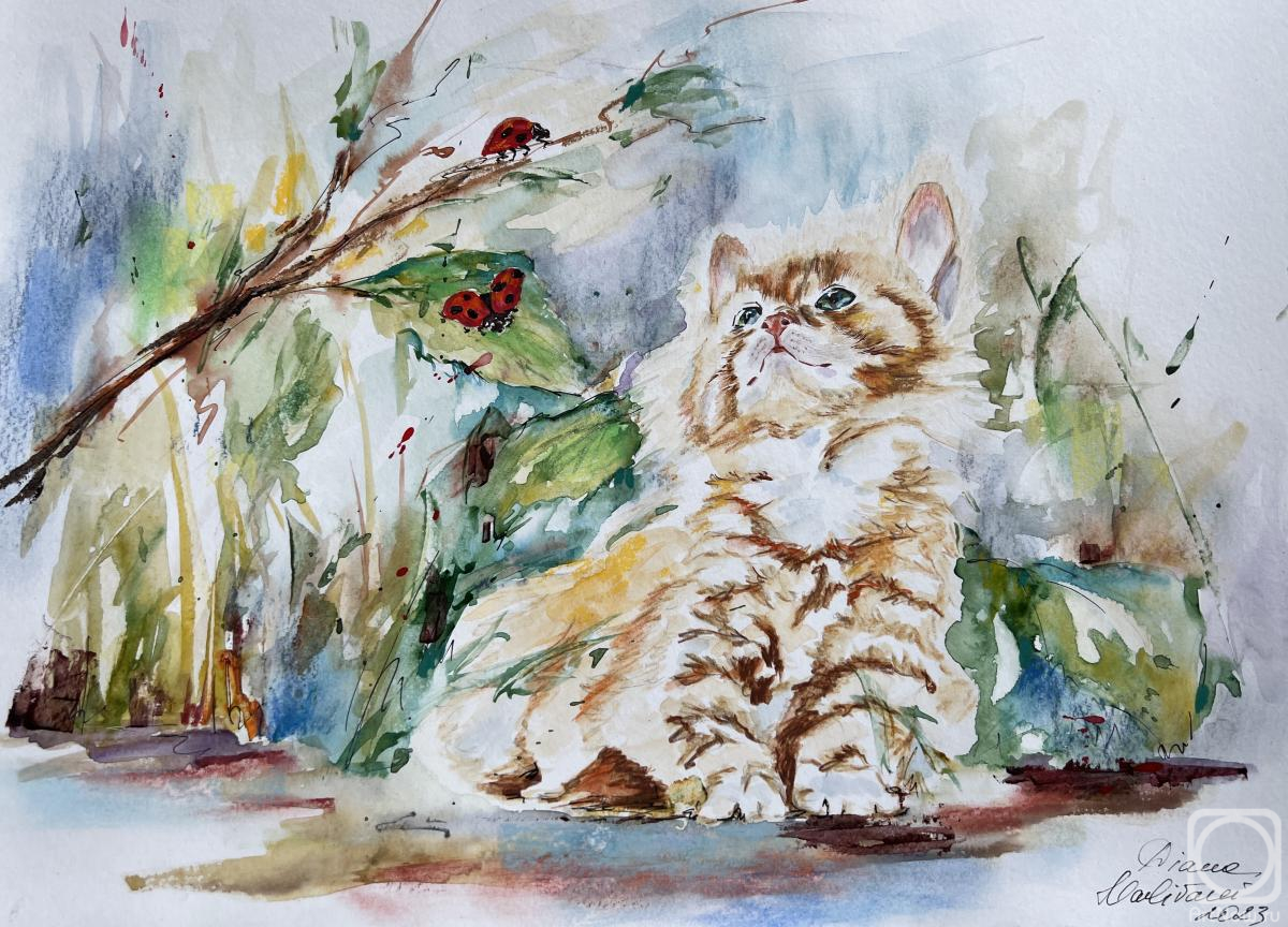 �������. �������� �����. � �����