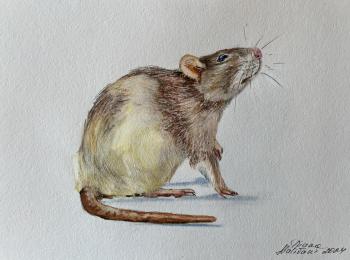 Mon cher petit Monsieur. Malivani Diana