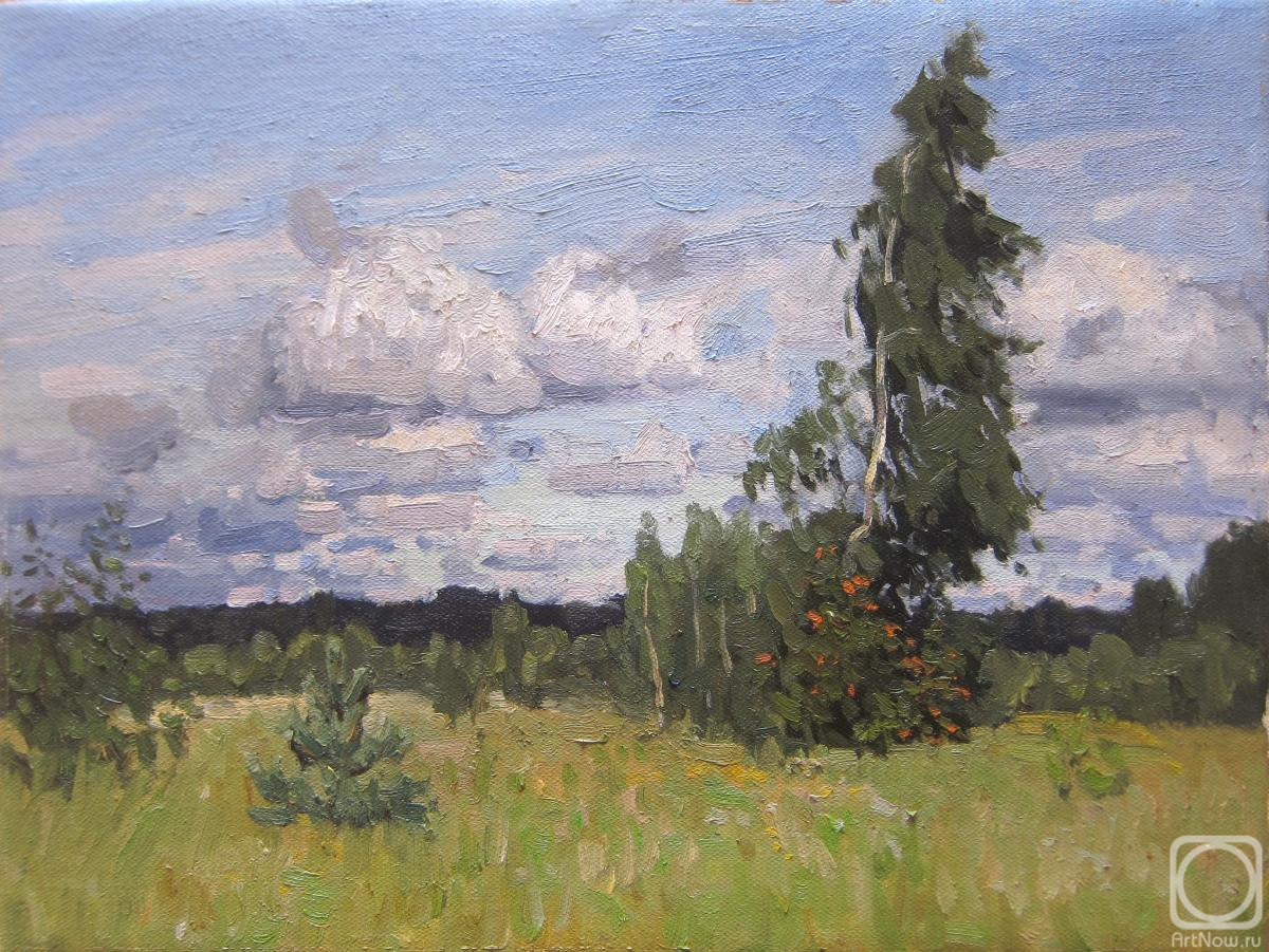 Chertov Sergey. Untitled