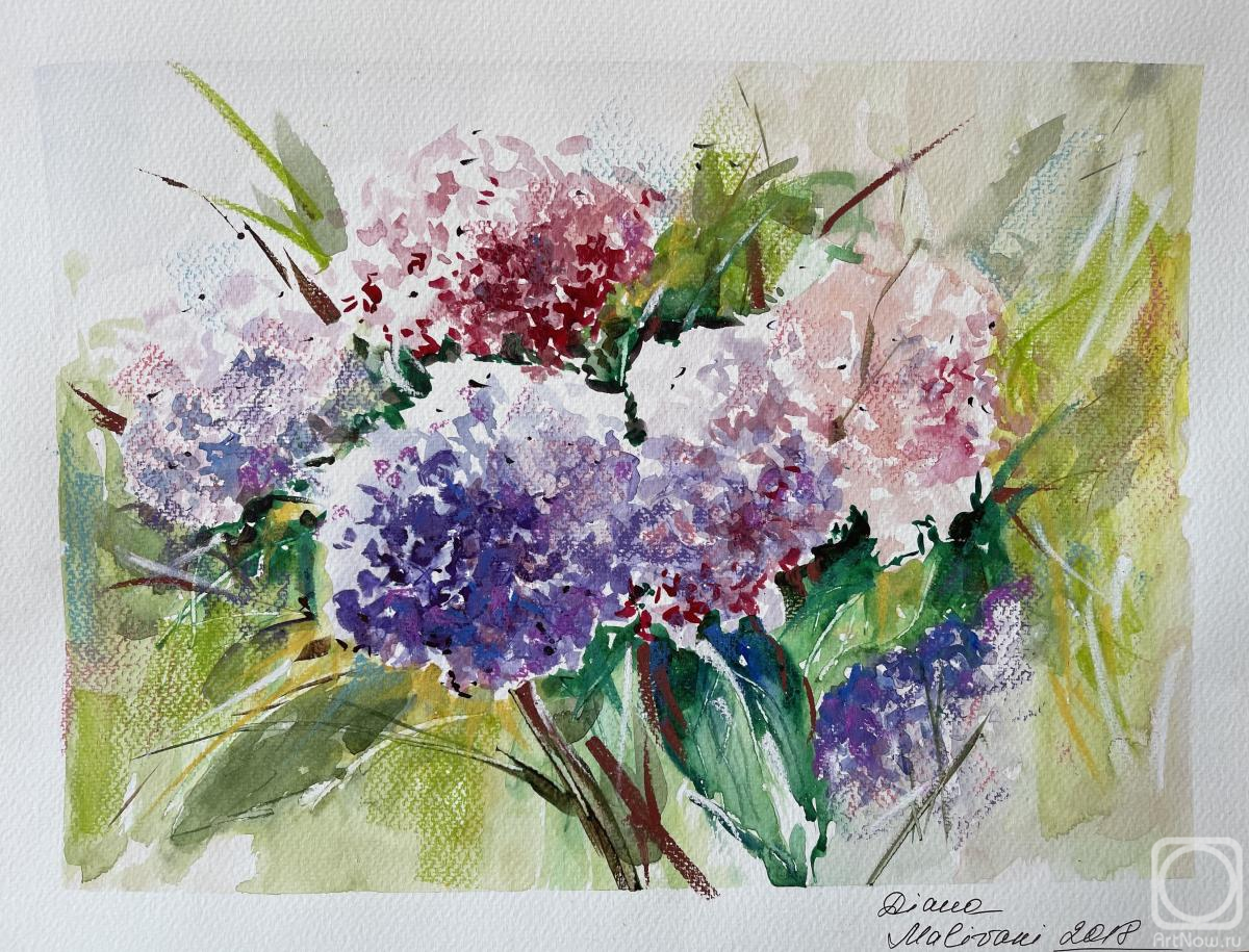 �������. �������� �����. �������� ���. �7