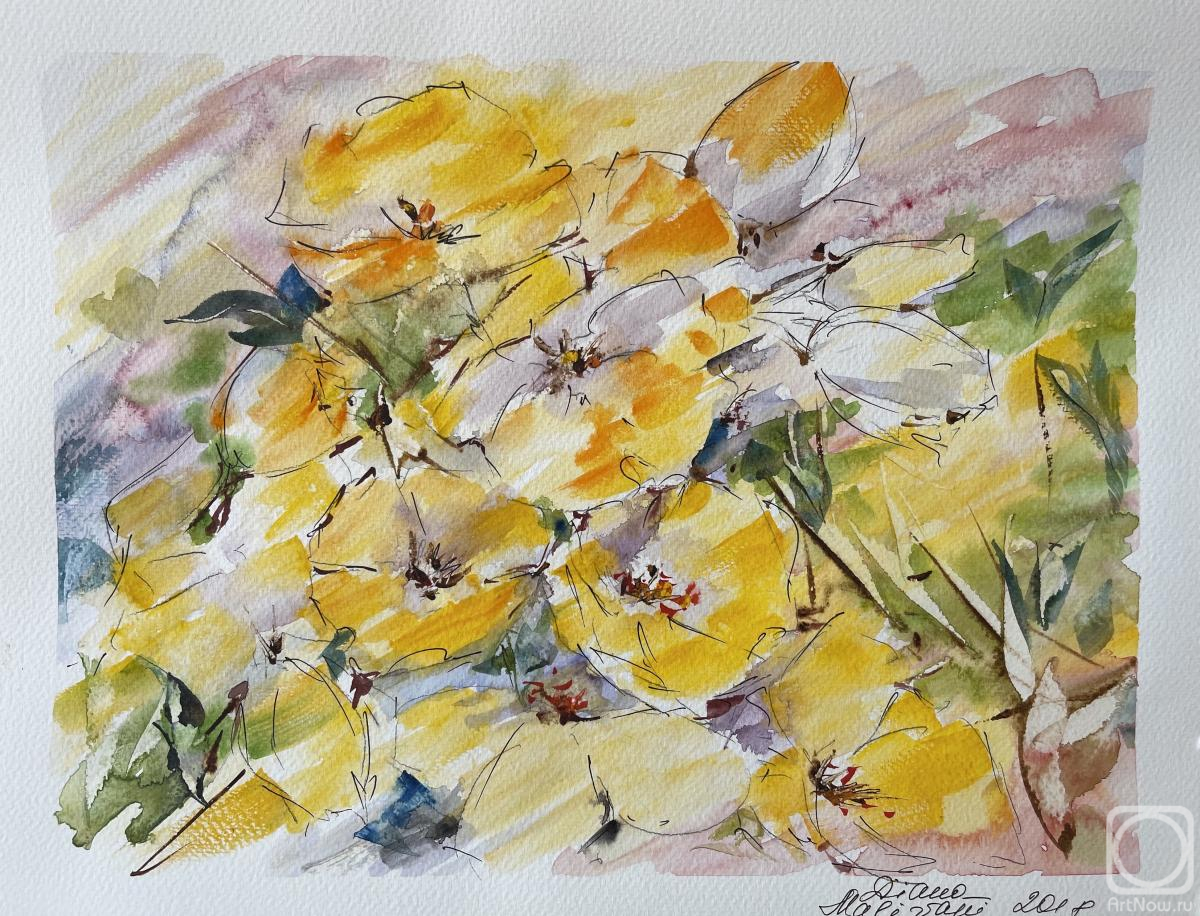 �������. �������� �����. ������ ���. �7