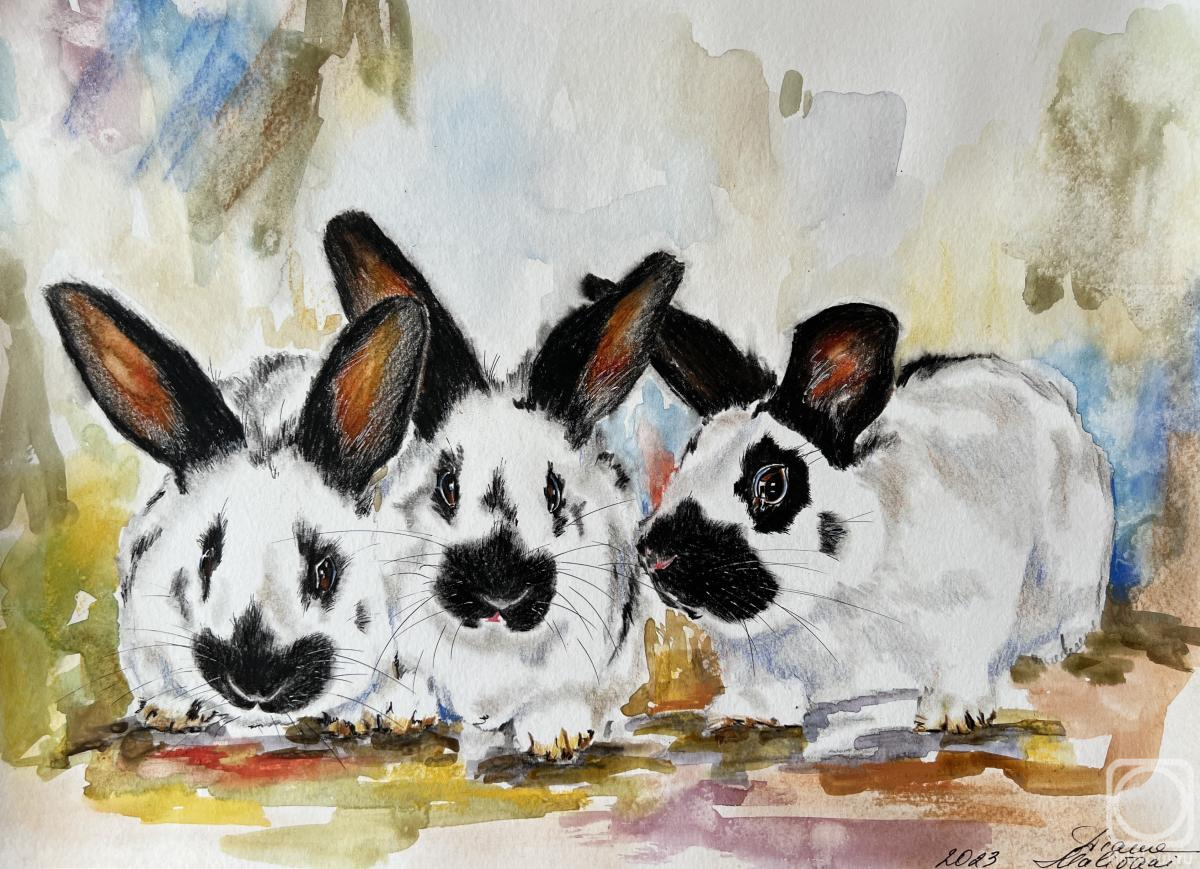 �������. �������� �����. ��� ��������