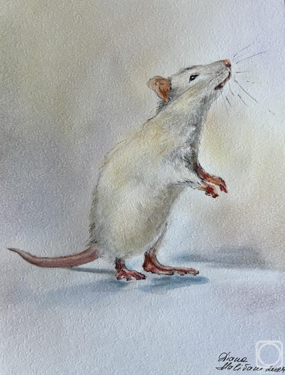 �������. �������� �����. ������� ����