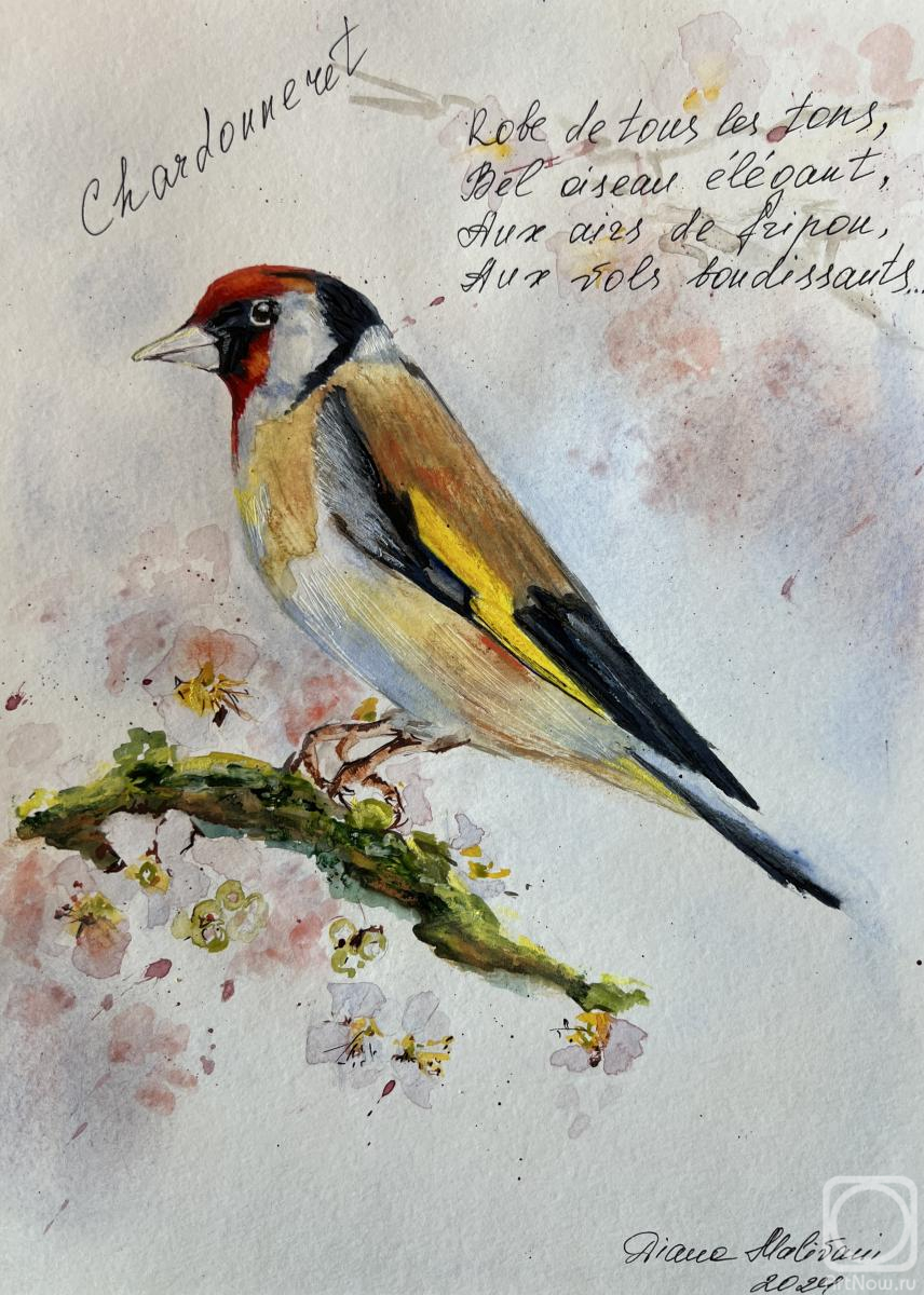 �������. �������� �����. �����