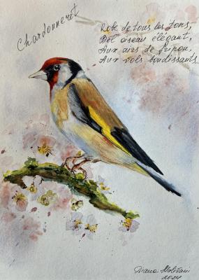 �����. �������� �����