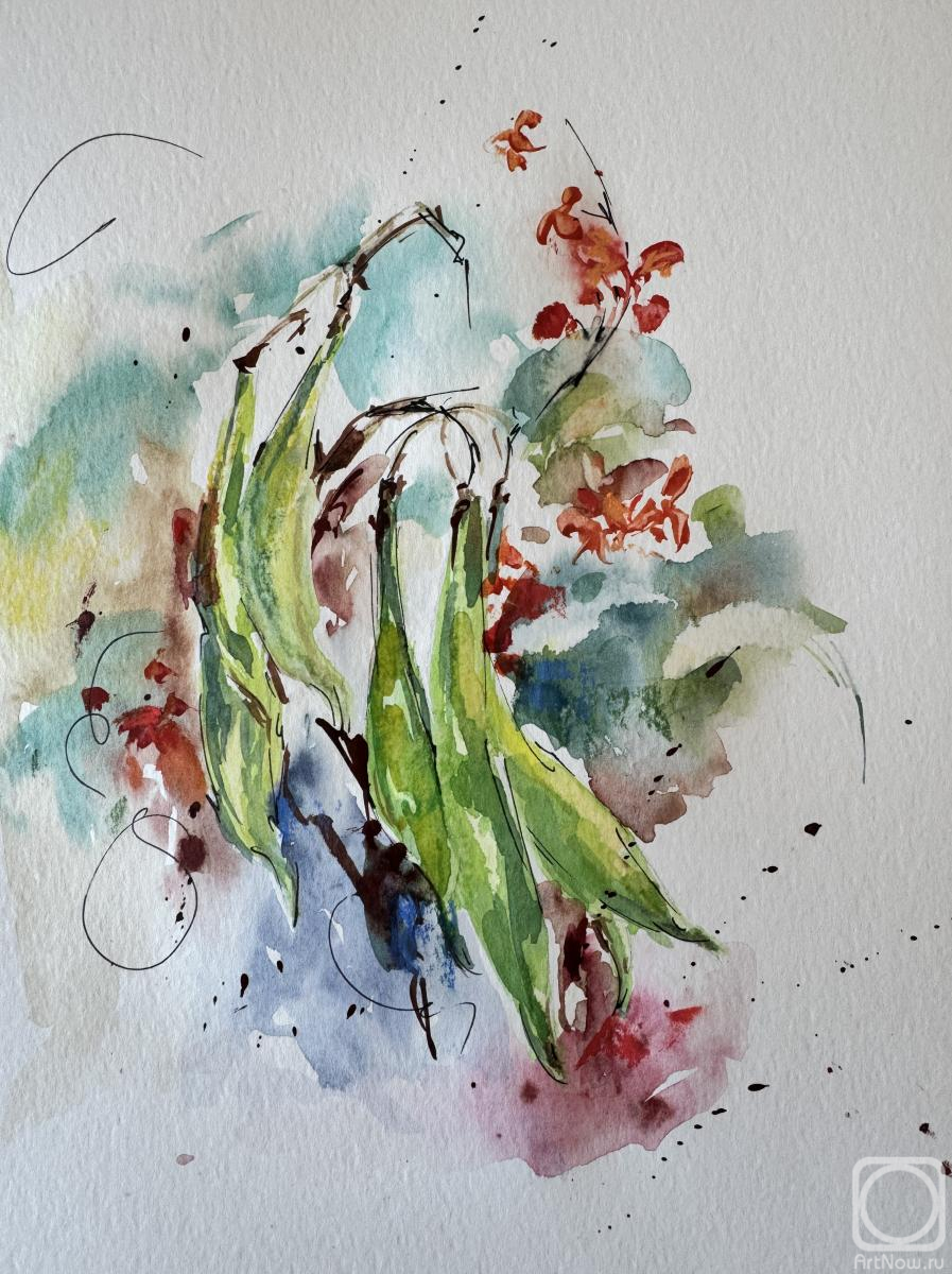 �������. �������� �����. ������ ������