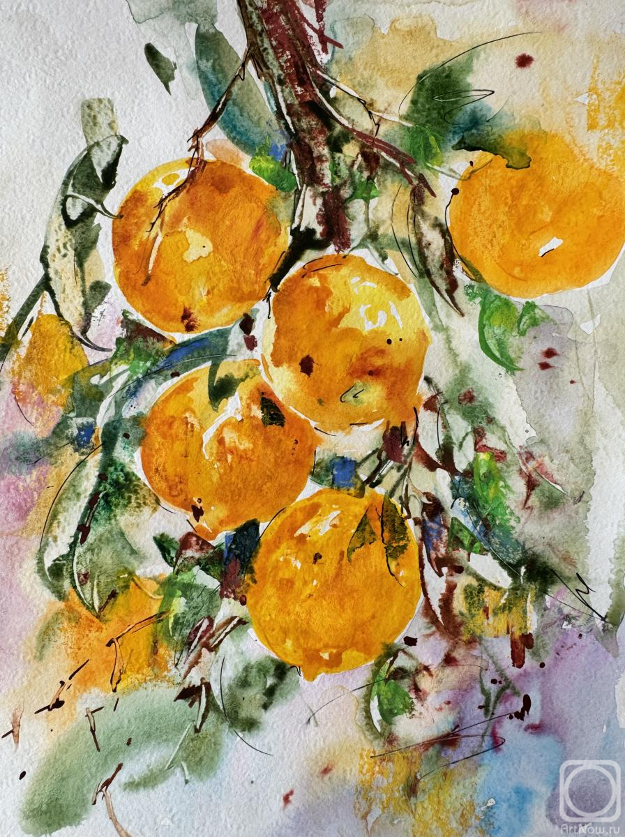 �������. �������� �����. ���������