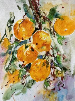 Oranges (Pastel Oranges). Malivani Diana