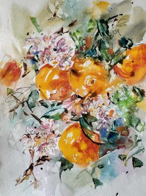 Red Oranges (Pastel Oranges). Malivani Diana