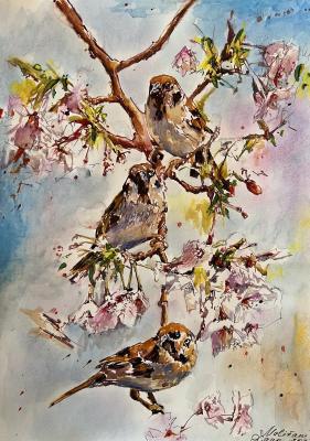 Three Sparrows