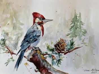 Woodpecker