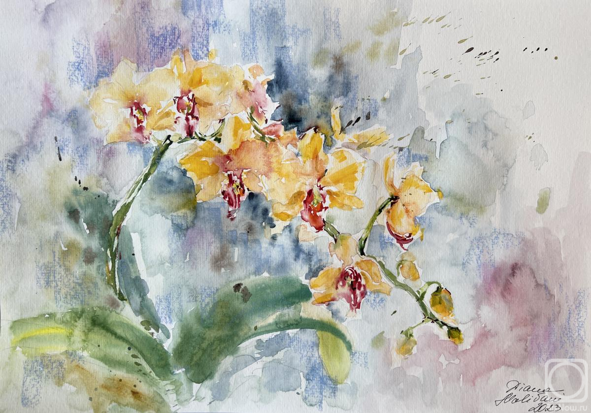 �������. �������� �����. Ƹ���� �������